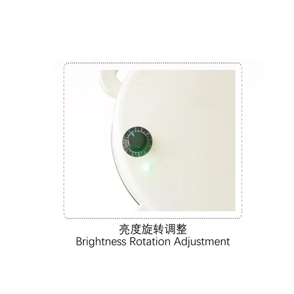 Medical Surgery LED Light factory